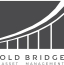 Old Bridge Mutual Fund logo